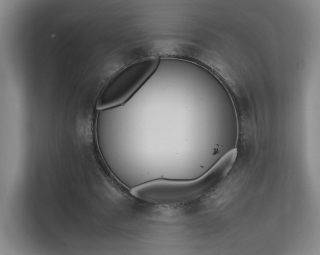 X0000112010489200908101345