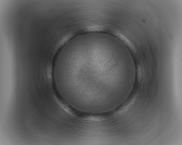 X0000112010490200908101345