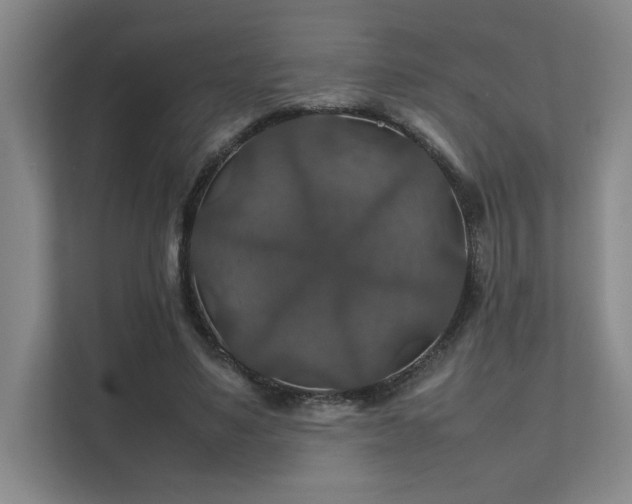 X0000112010491200908101345