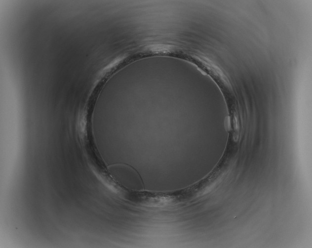 X0000112010492200908101345