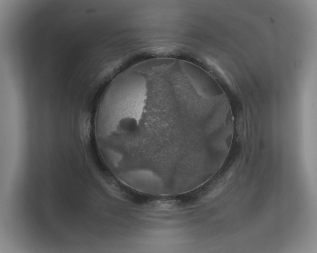 X0000112010495200908101345