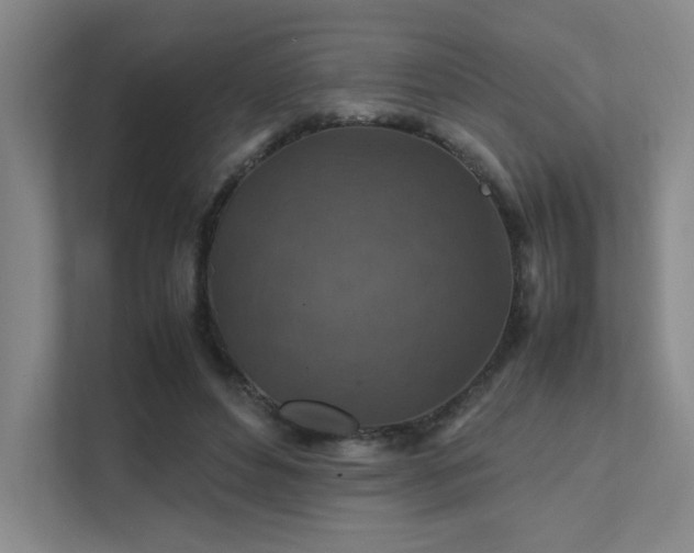 X0000112010496200908101345