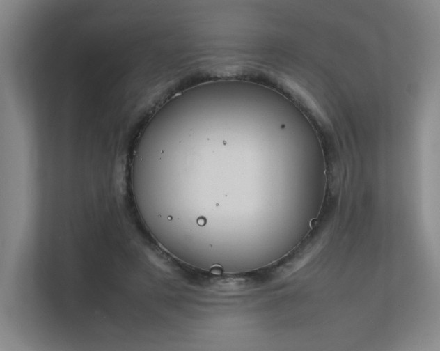 X0000112010497200908101345