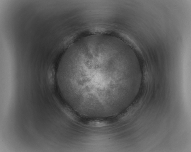 X0000112010498200908101345