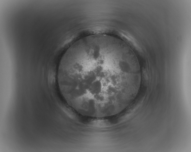 X0000112010499200908101345