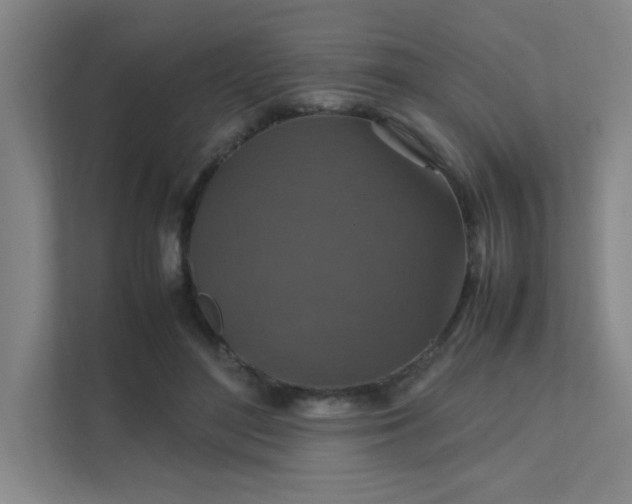 X0000112010500200908101345