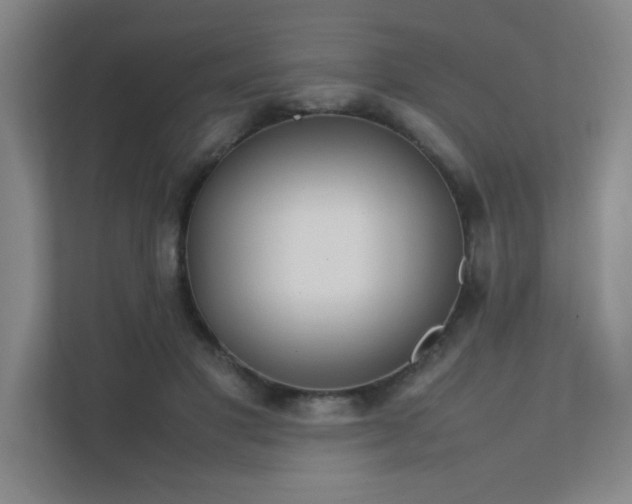 X0000112010501200908101345