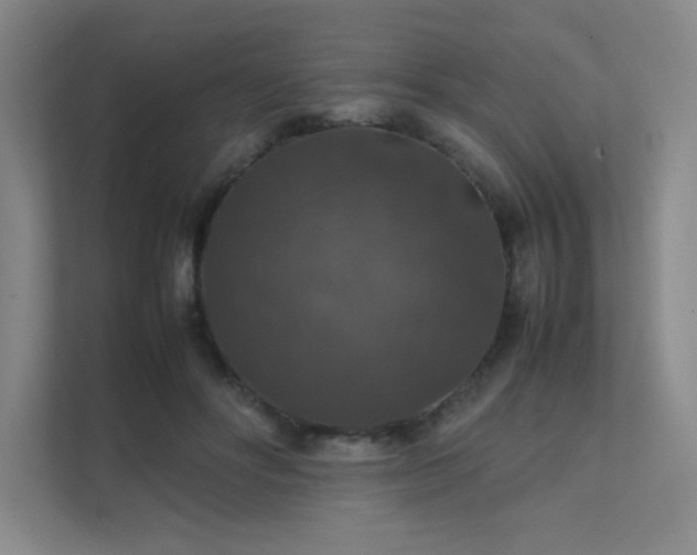 X0000112010502200908101345