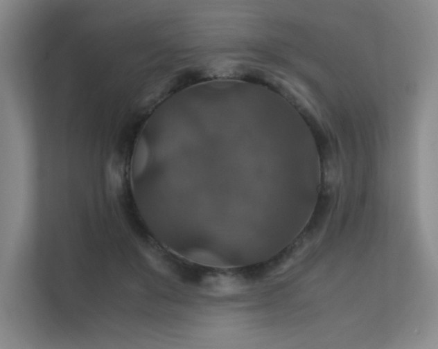 X0000112010503200908101345