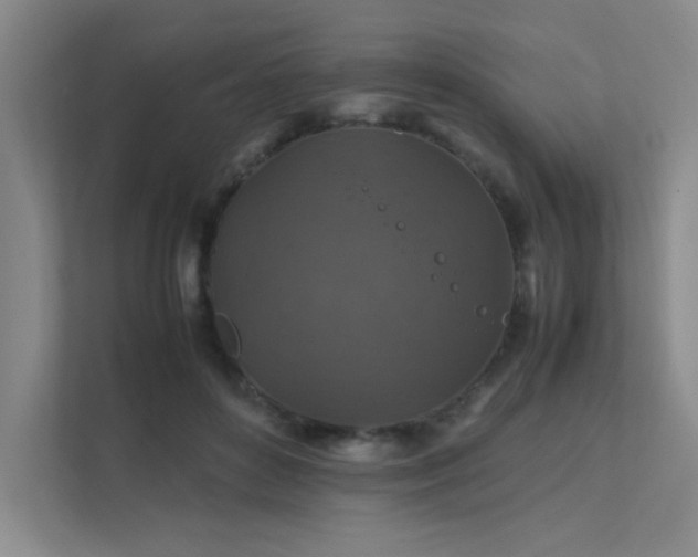 X0000112010504200908101345