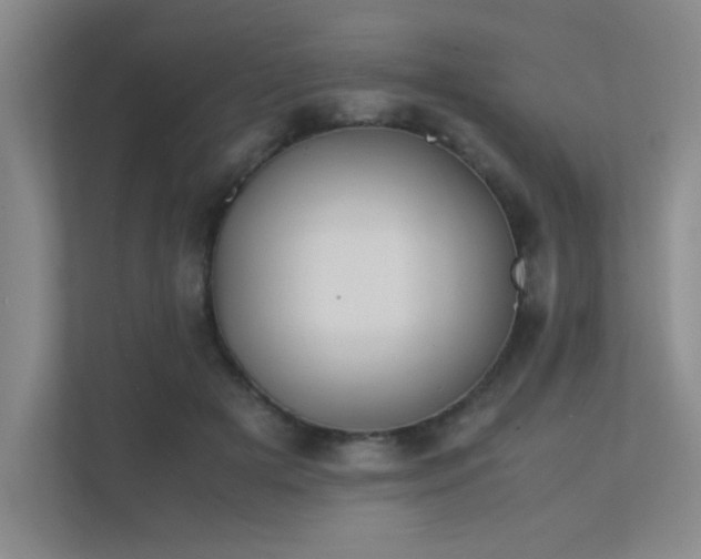 X0000112010505200908101345