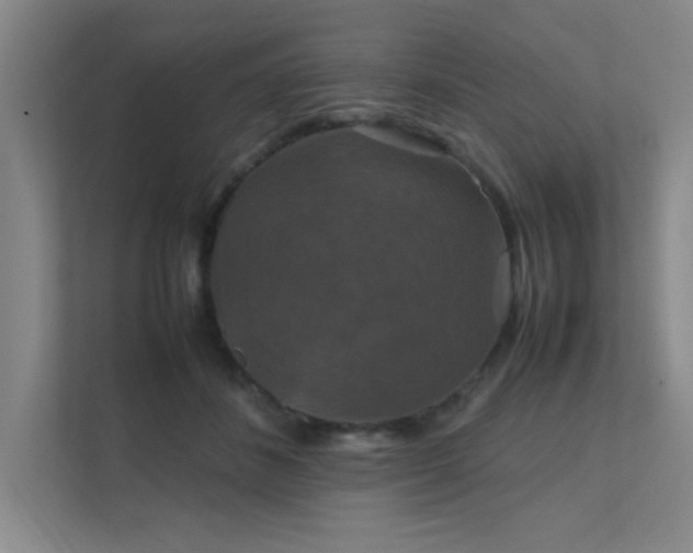 X0000112010508200908101345