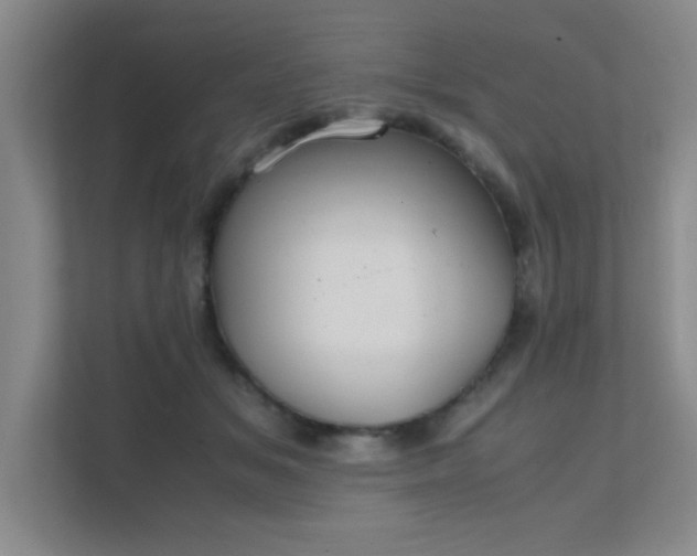 X0000112010509200908101345