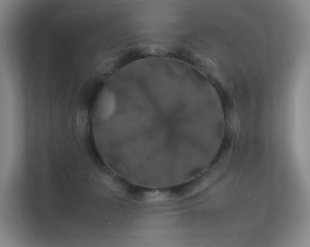 X0000112010511200908101344