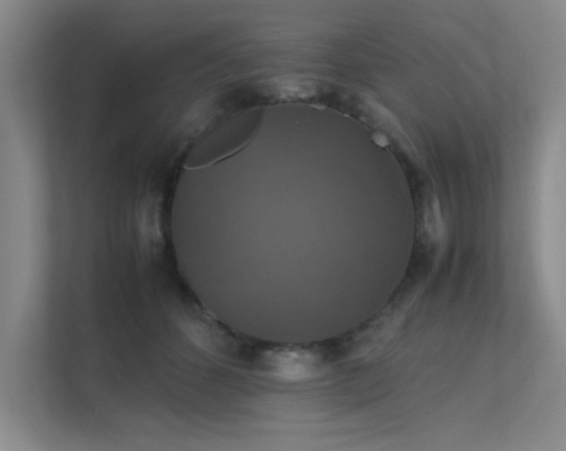 X0000112010512200908101344