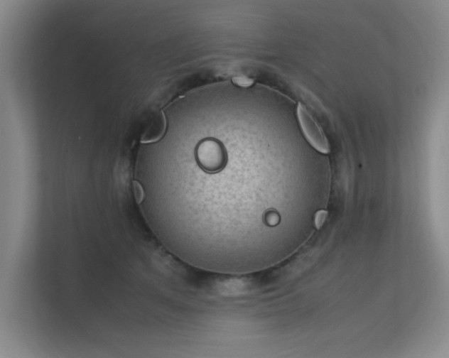 X0000112010513200908101344