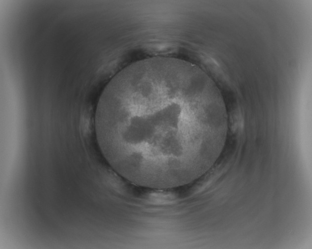 X0000112010515200908101344