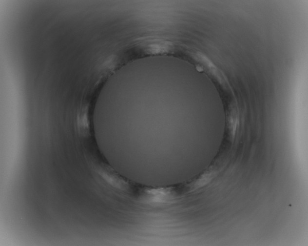 X0000112010516200908101344