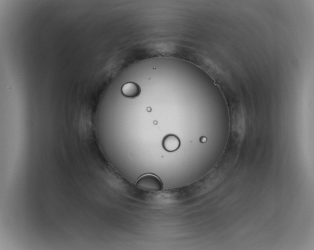 X0000112010518200908101344