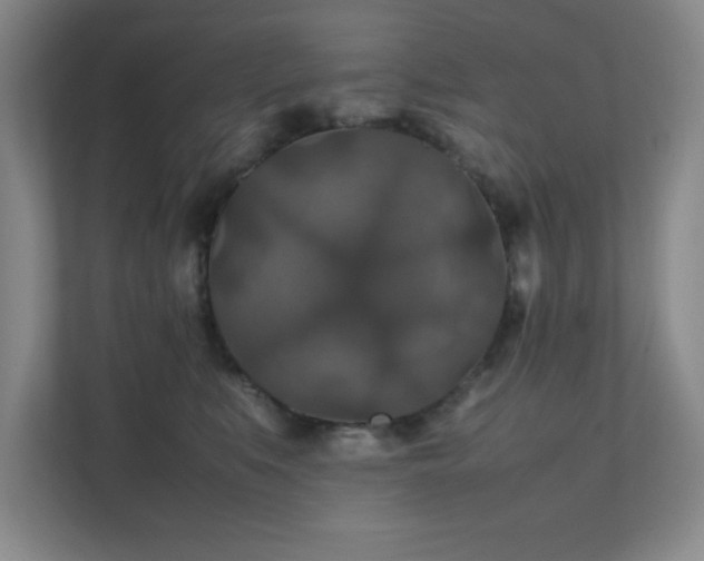 X0000112010519200908101344