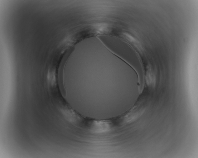 X0000112010520200908101344