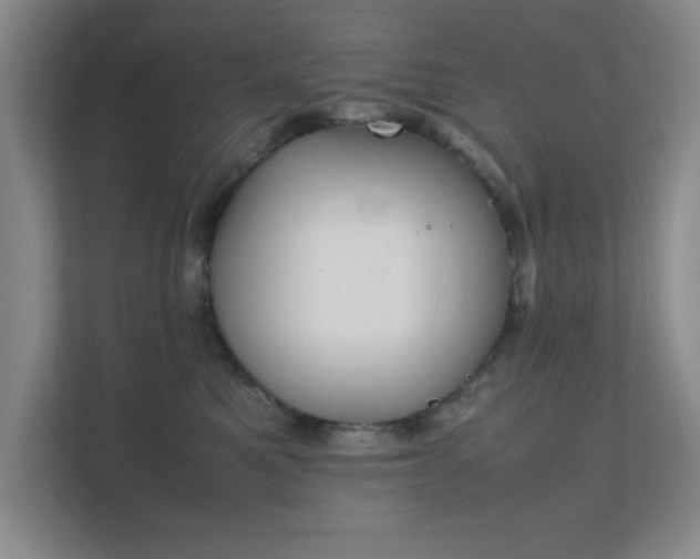 X0000112010521200908101344