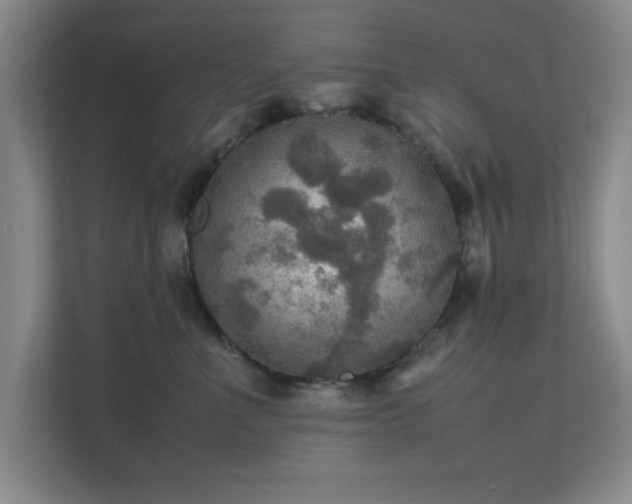 X0000112010523200908101344