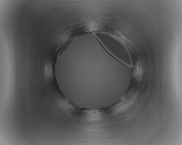 X0000112010524200908101344