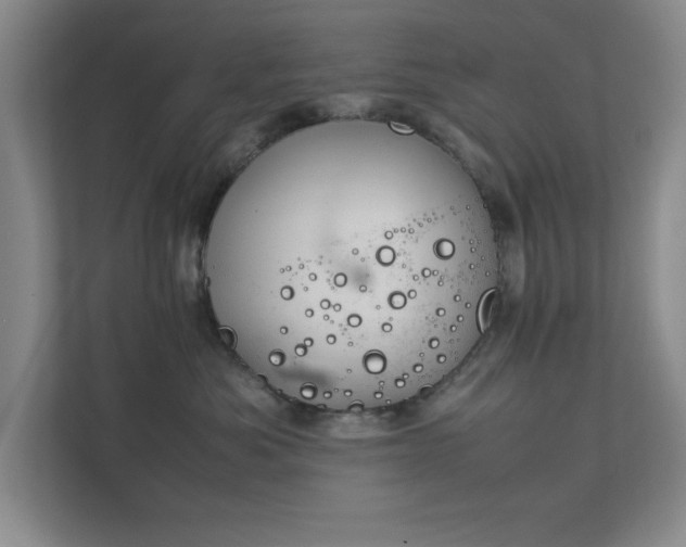 X0000112010525200908101344