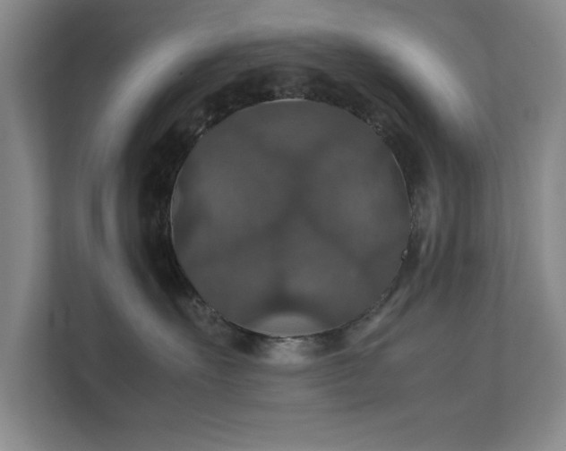 X0000112010527200908101344