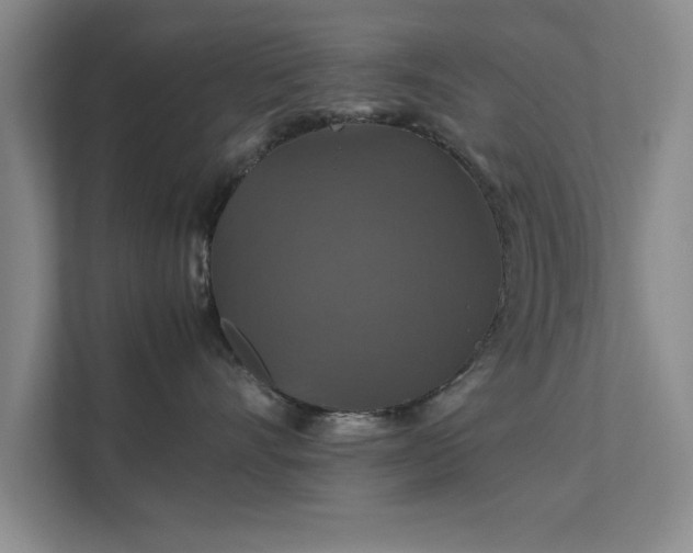 X0000112010528200908101344