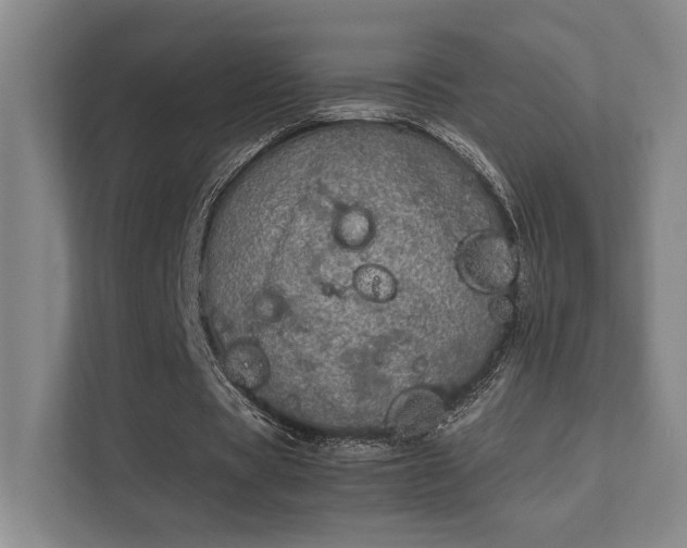 X0000112010529200908101344