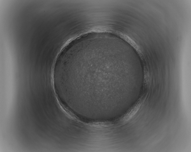 X0000112010530200908101344