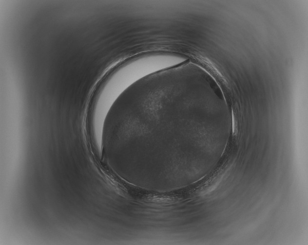 X0000112010531200908101344