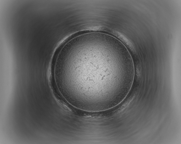 X0000112010532200908101344