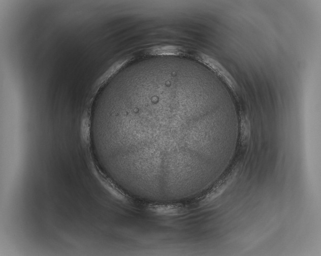 X0000112010533200908101344