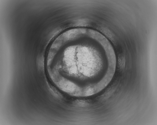 X0000112010534200908101344