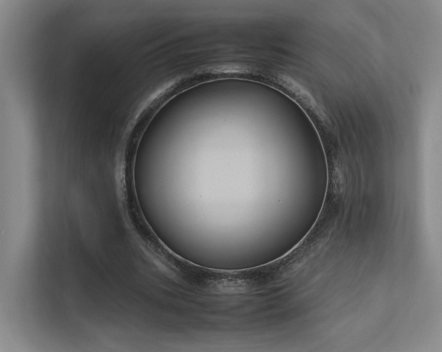 X0000112010535200908101344