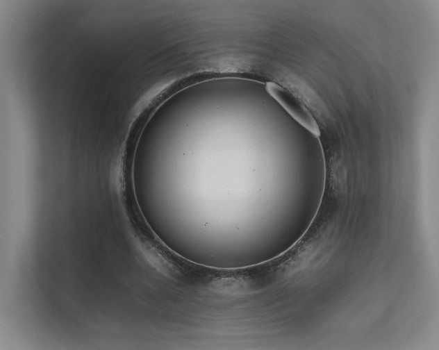 X0000112010536200908101344