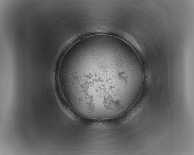 X0000112010538200908101344