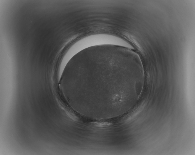 X0000112010539200908101344