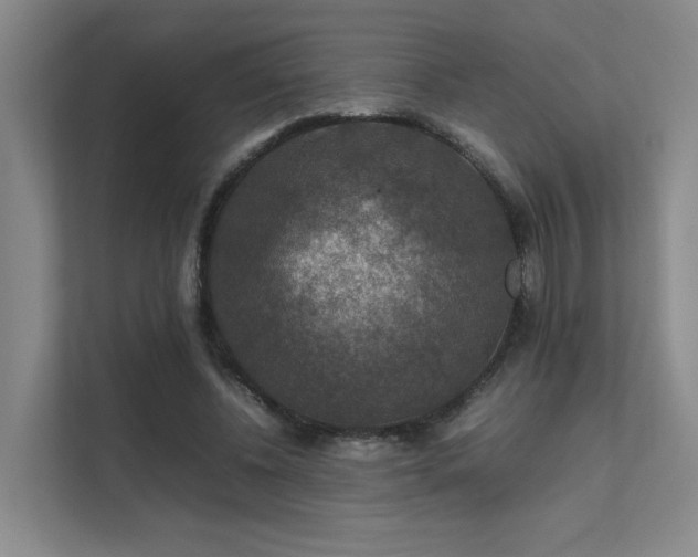 X0000112010540200908101344