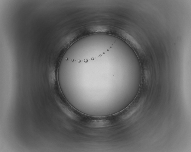 X0000112010541200908101344