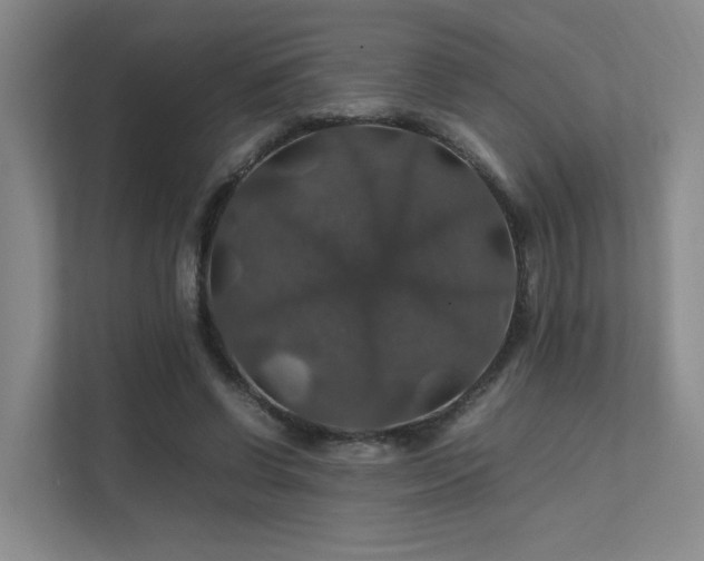 X0000112010542200908101344