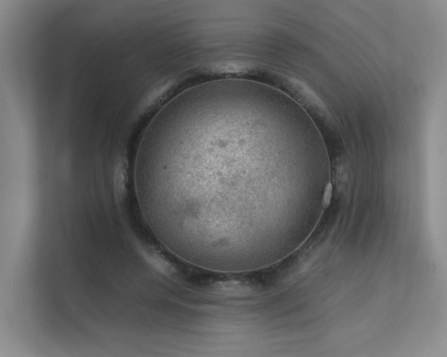 X0000112010544200908101344