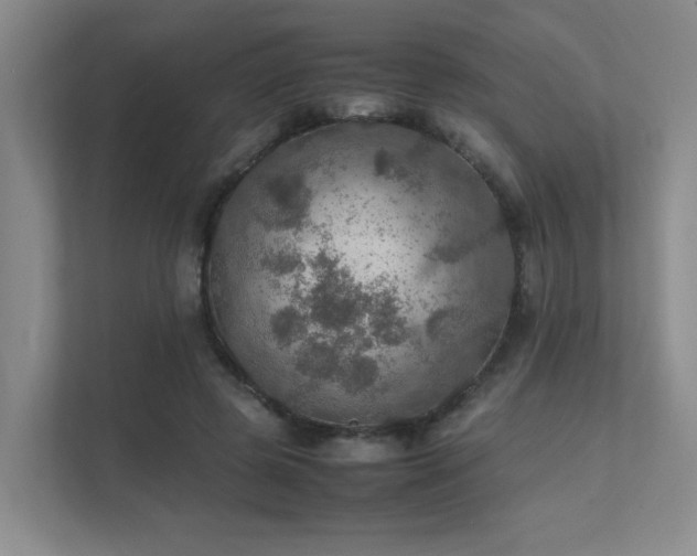 X0000112010545200908101344