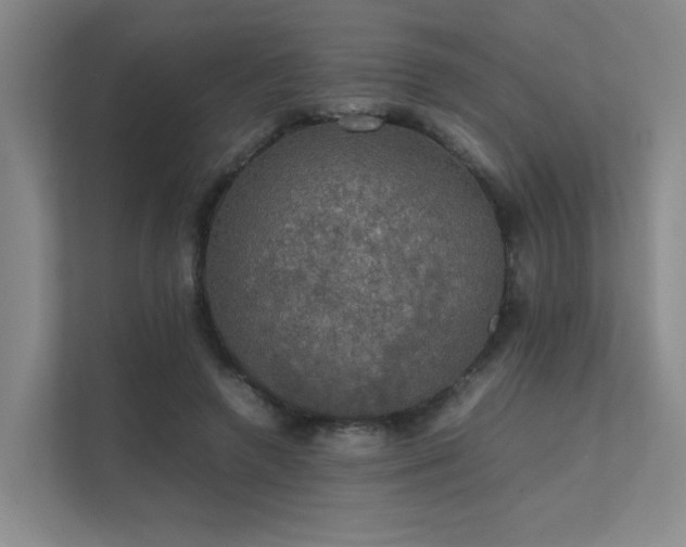 X0000112010546200908101344