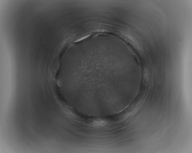 X0000112010547200908101344