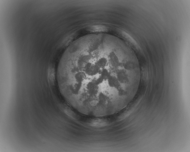 X0000112010549200908101344