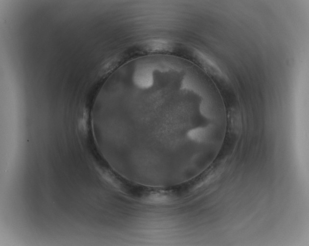 X0000112010550200908101344